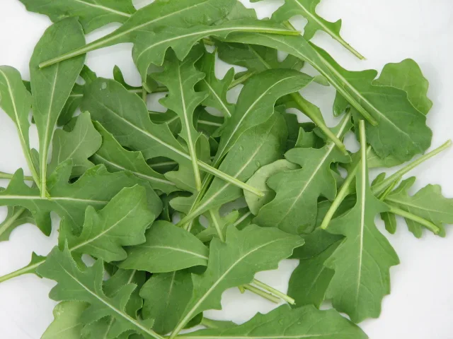 Alternative view of Semilla De Hortaliza Rucula Cultivada Rocket