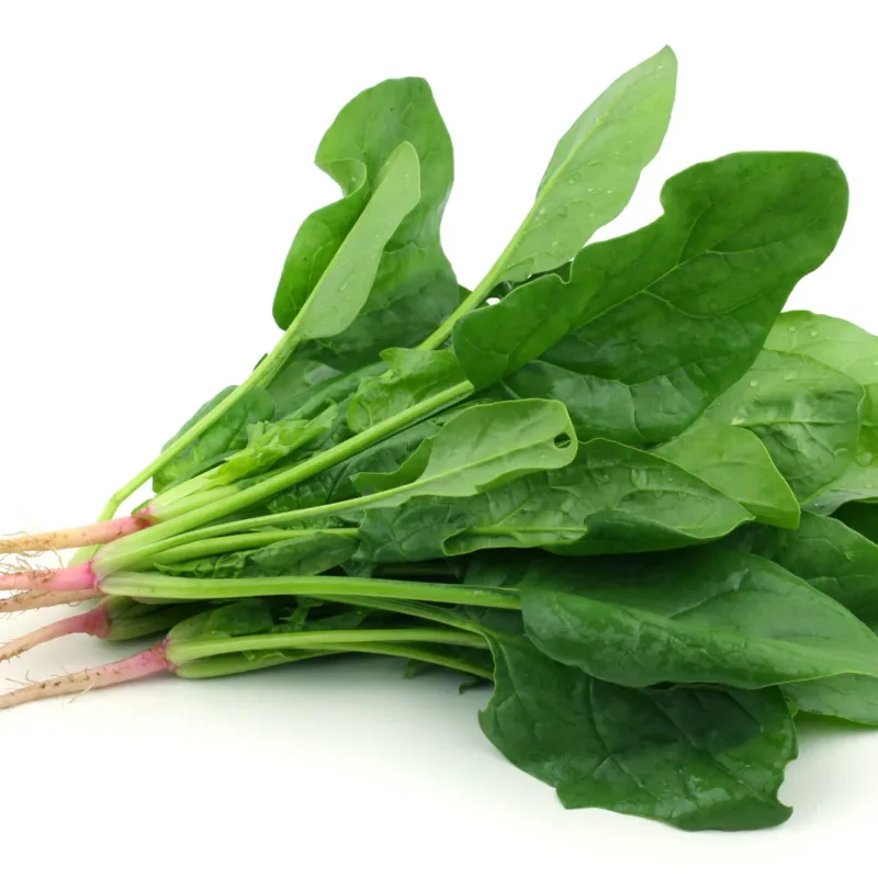 Semillas De Espinaca Propiedades Nutricionales - Imagen 3