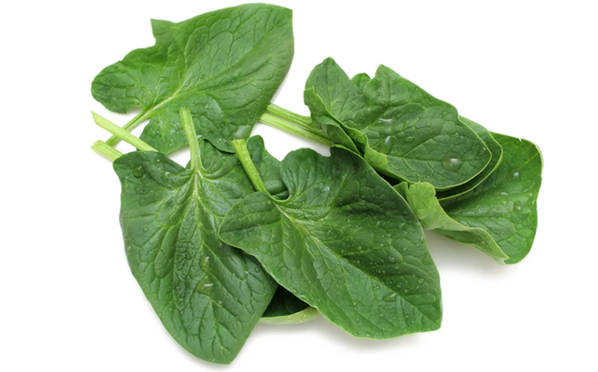 Semillas De Espinaca Propiedades Nutricionales