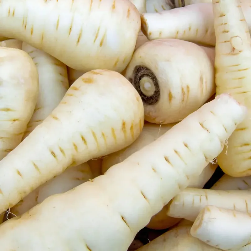 Semillas De Hortaliza Chirivia Pastinaca Zanahoria Blanca